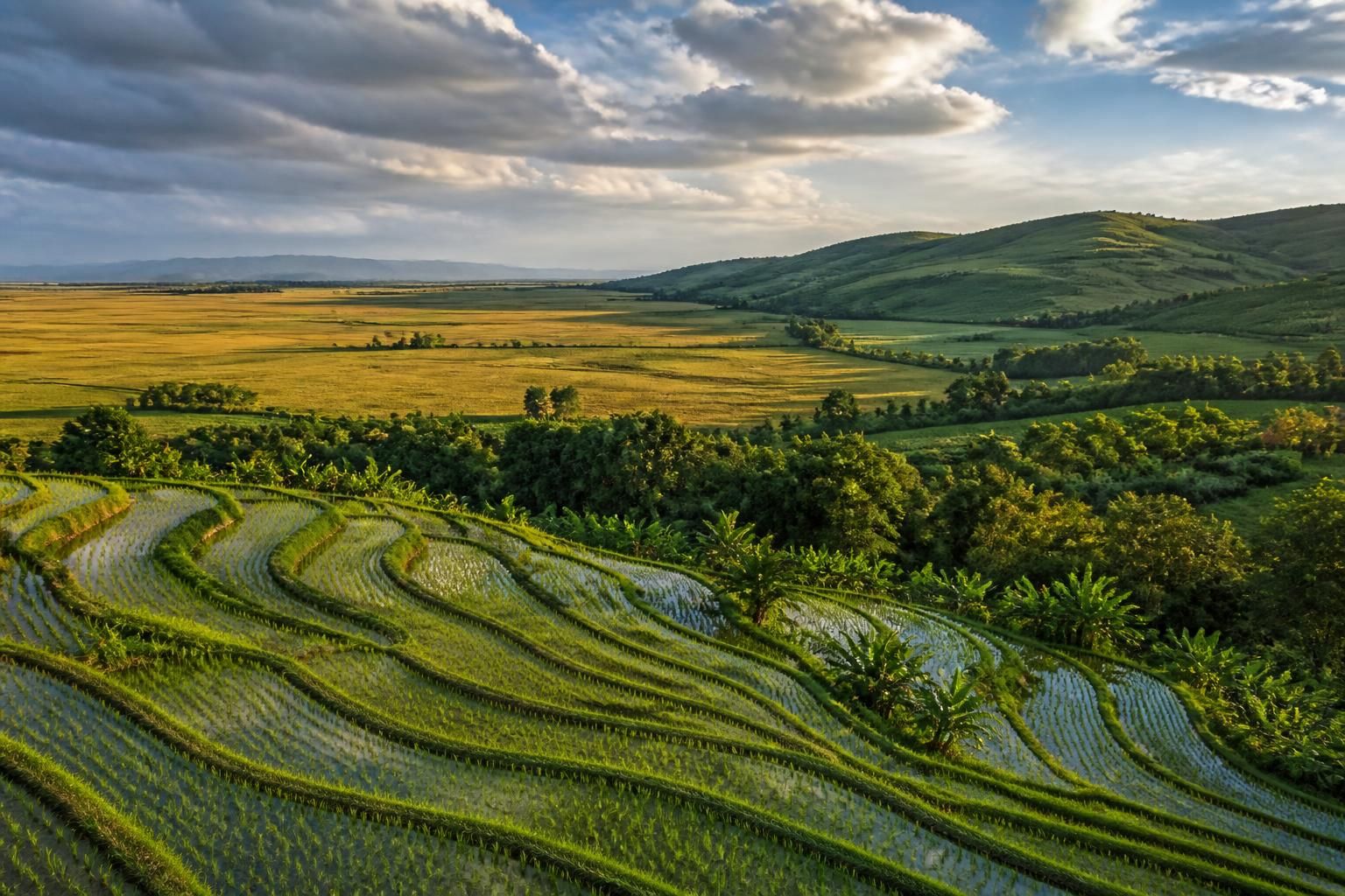 découvrez la map fs 25, un terrain de jeu idéal pour les passionnés de simulation agricole, offrant des paysages variés et des défis réalistes pour une expérience immersive.