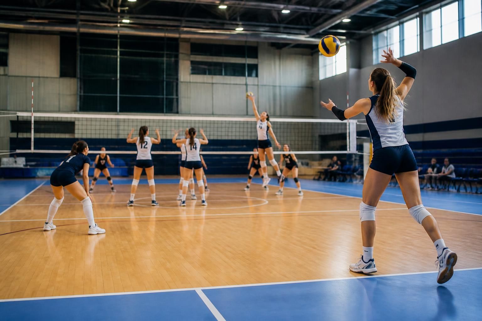 découvrez les règles essentielles du volley-ball, incluant le comptage des points, les règles liées au filet, et les spécificités propres au volley féminin pour bien comprendre et apprécier ce sport.