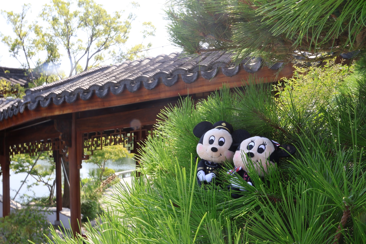 Mickey and minnie dolls nestled in a bush.
